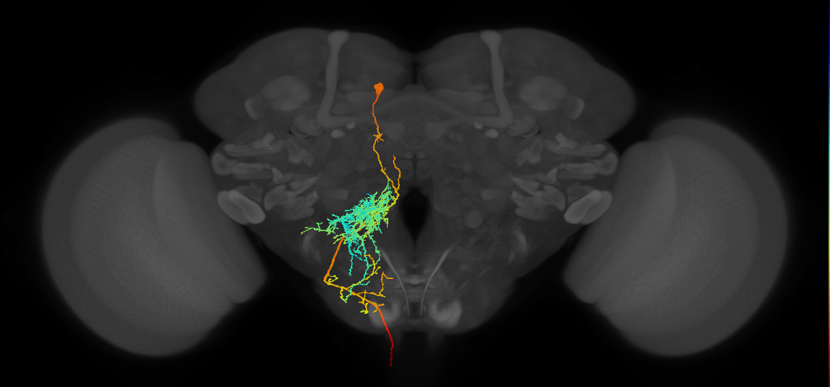 VES055