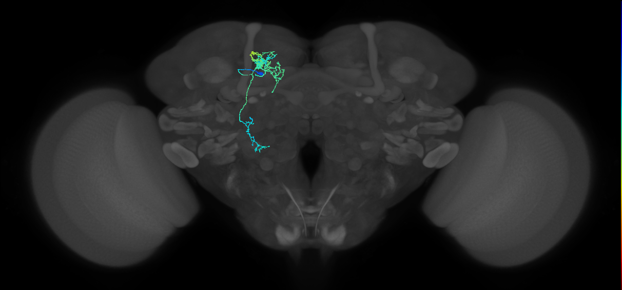 LAL038