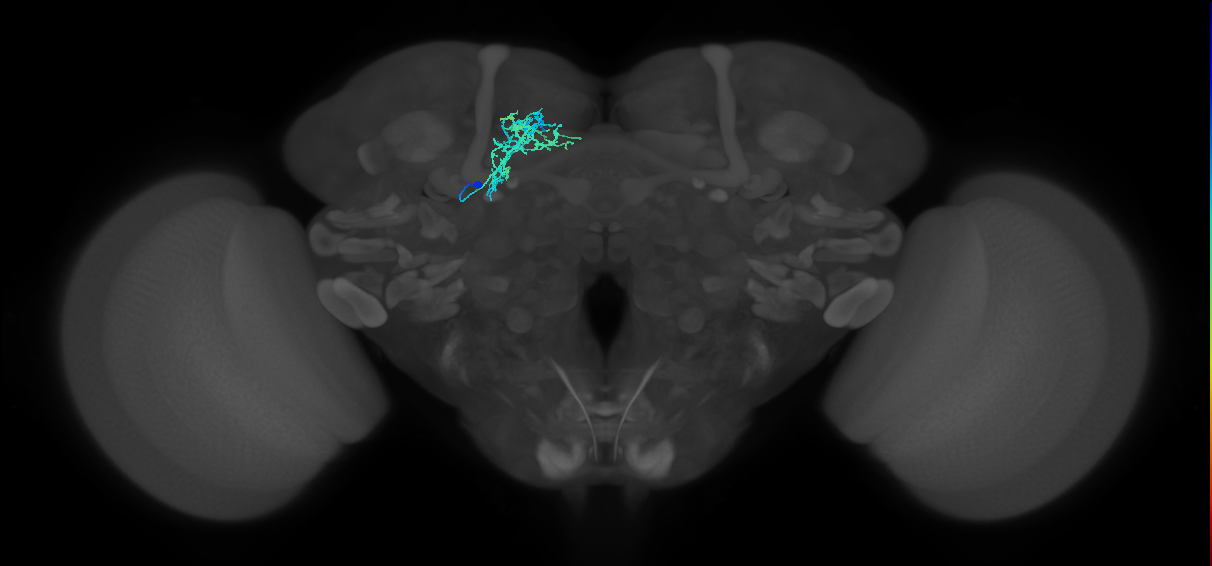 CRE054_L (MaleCNS:68170)