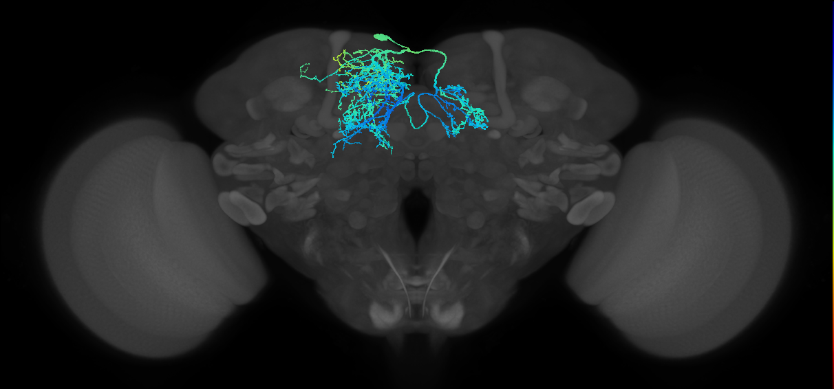 CRE107
