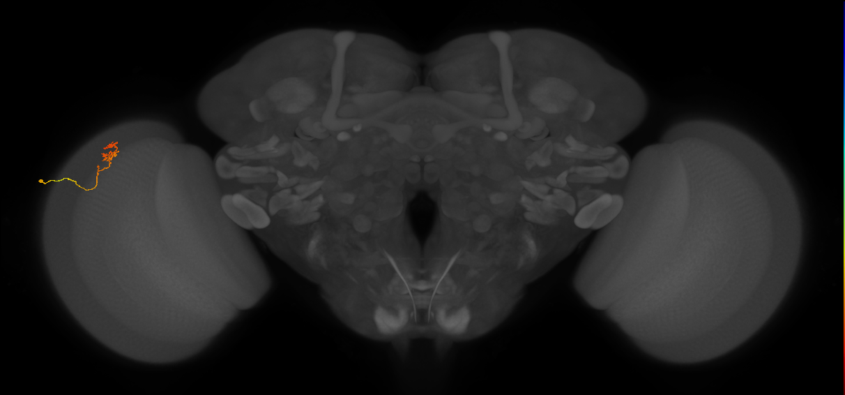 Cm34