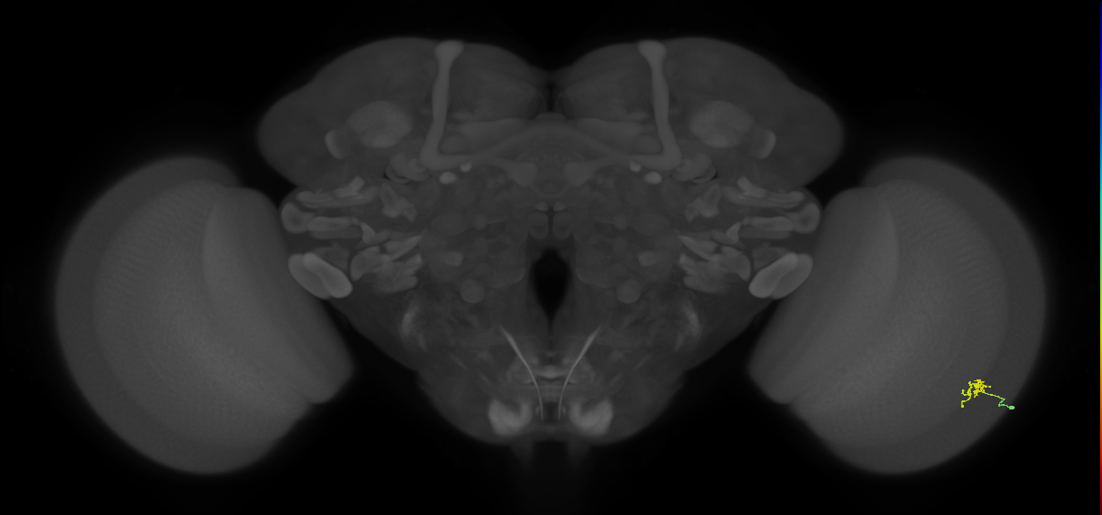 Cm2
