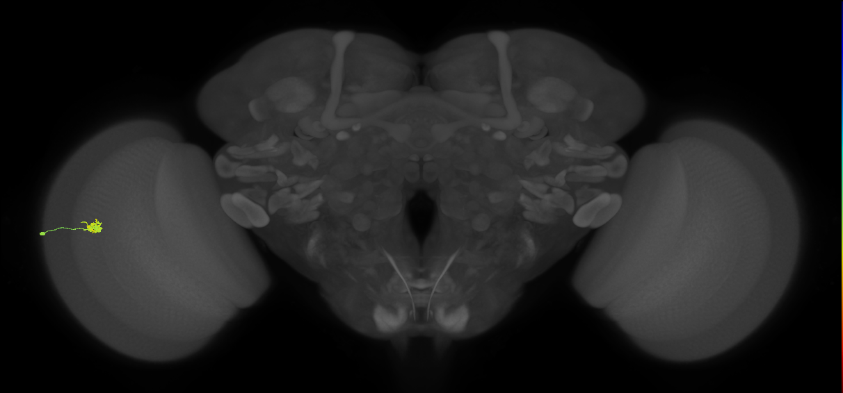 Cm4