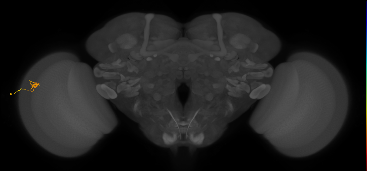 Cm4