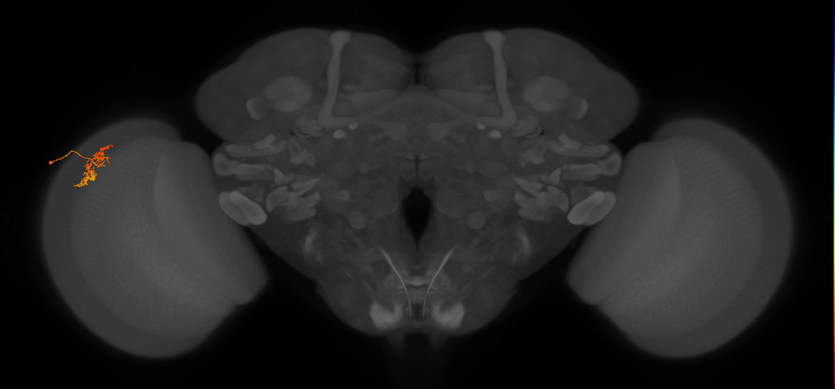 Cm5