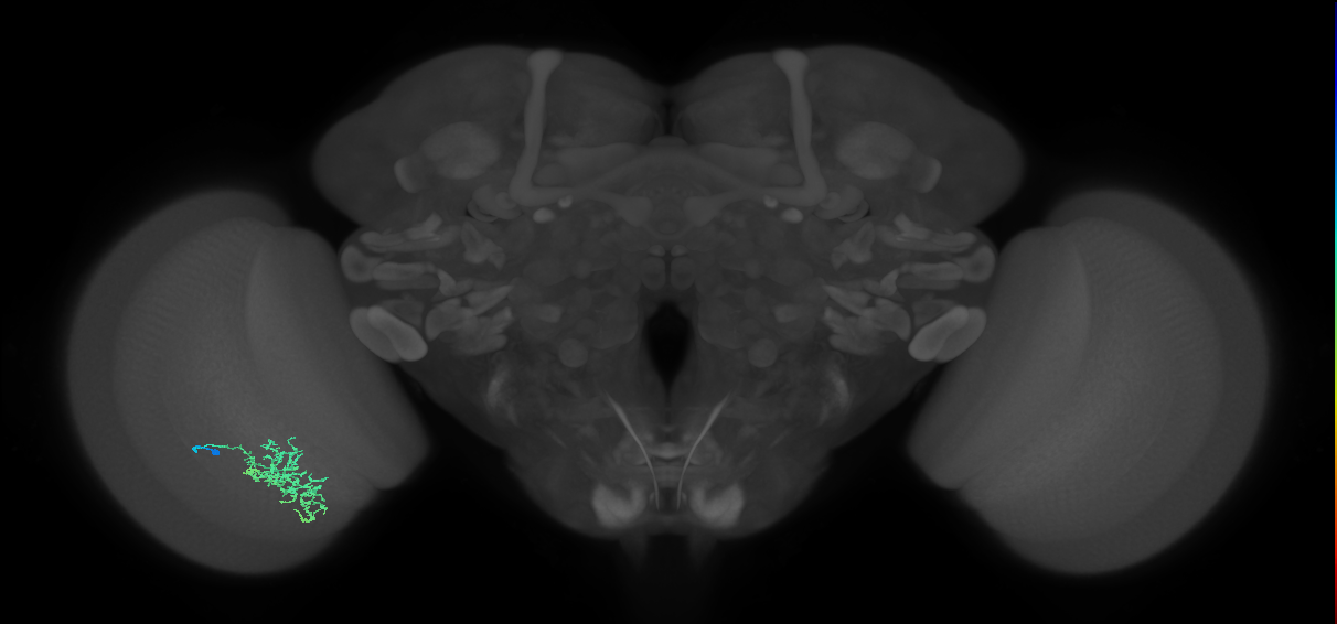 Cm5