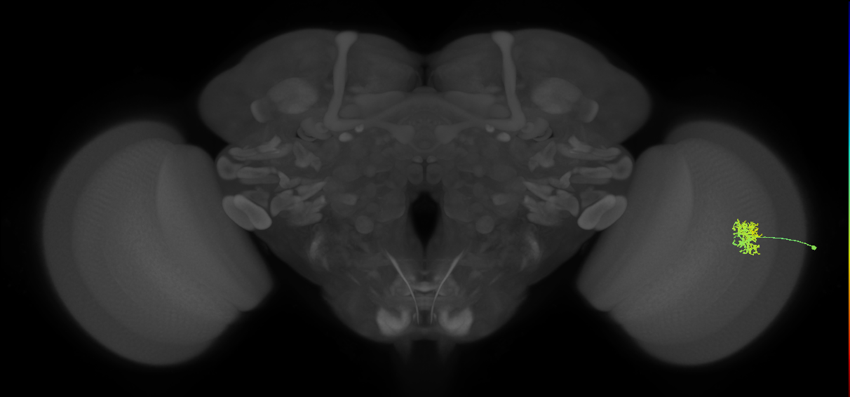 Cm5