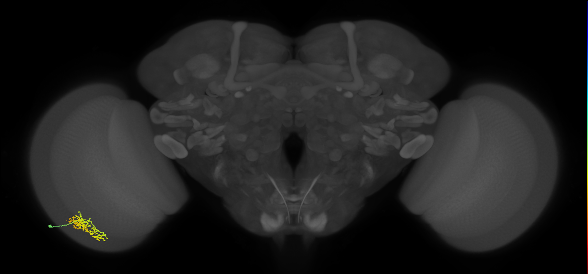 Cm5