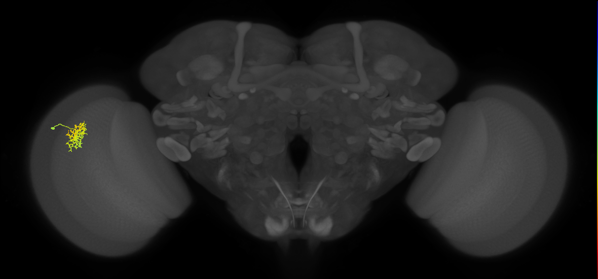 Cm5