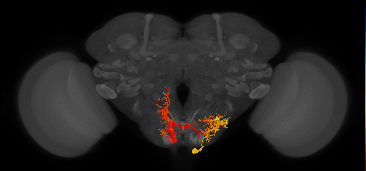 CB0838