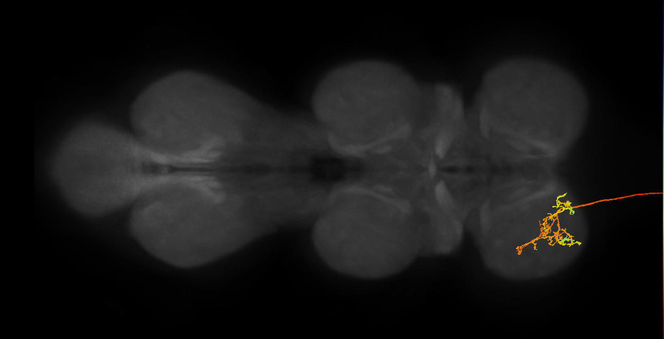 DNge012