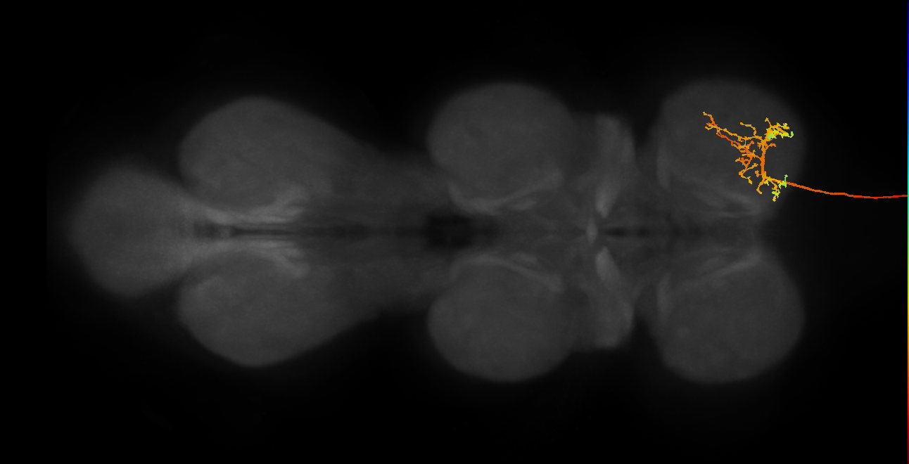 DNge012