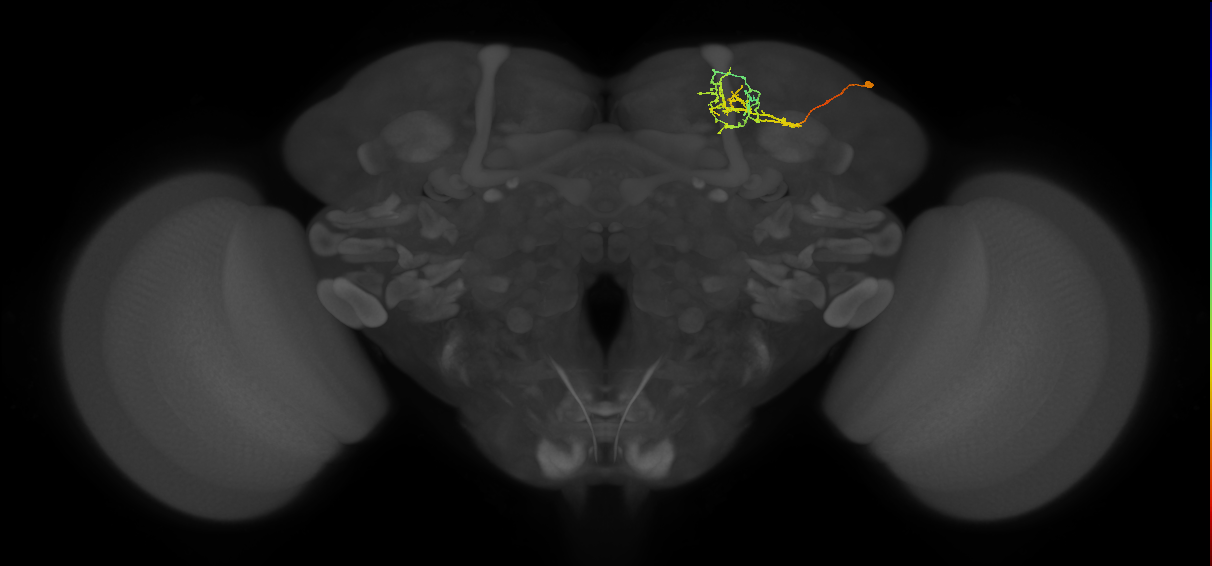 CB1220_R (MaleCNS:214184)