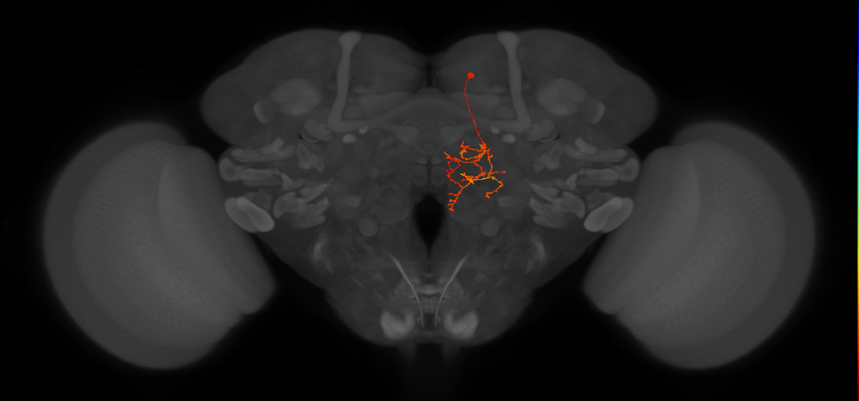 CB1227_R (MaleCNS:111331)
