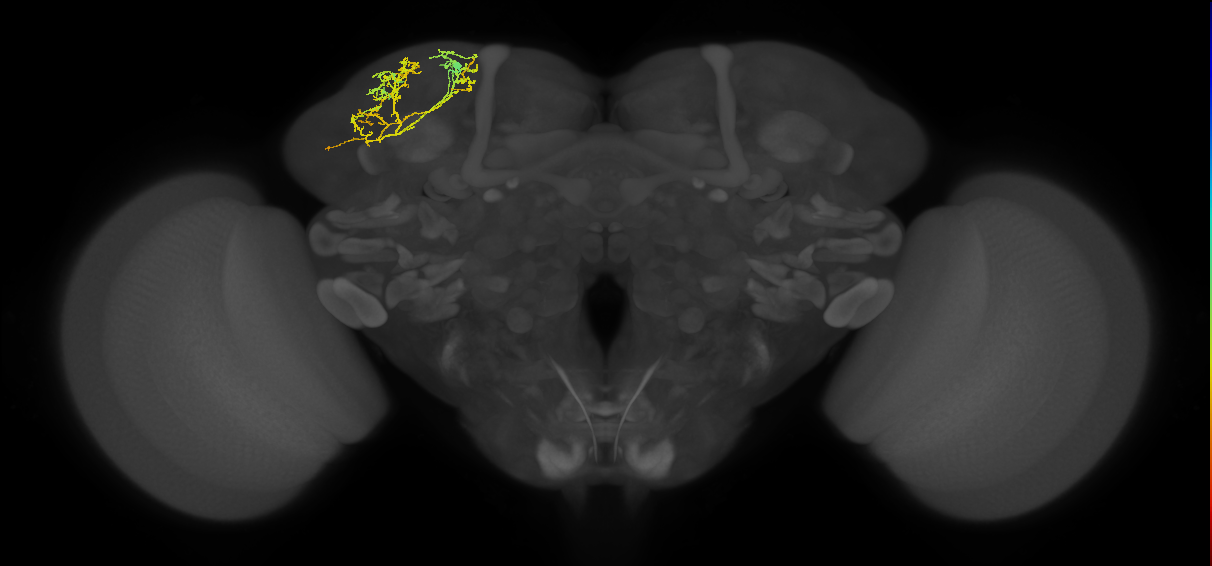 CB1263