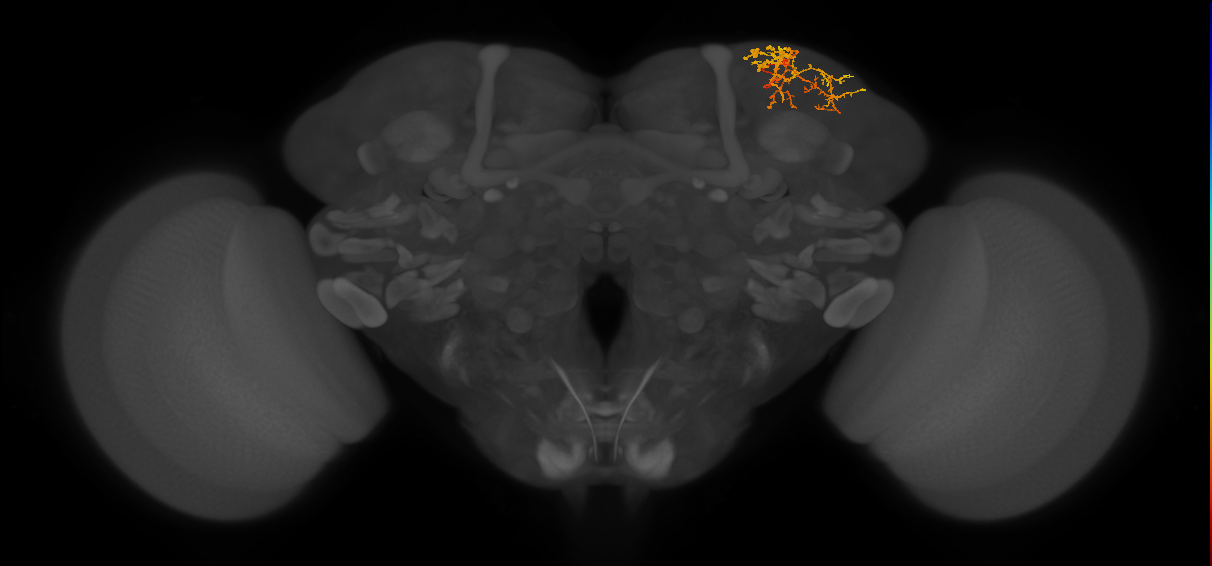 CB1281