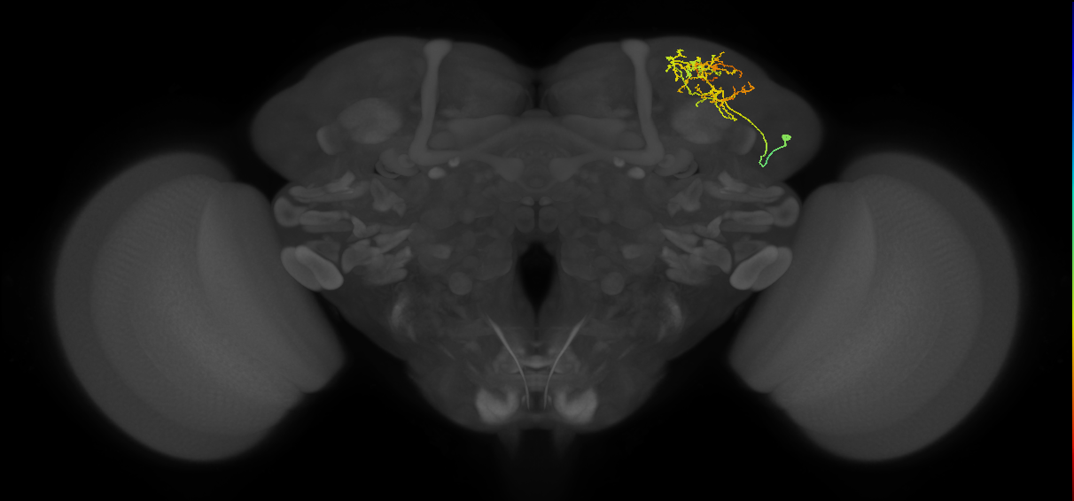 CB2154