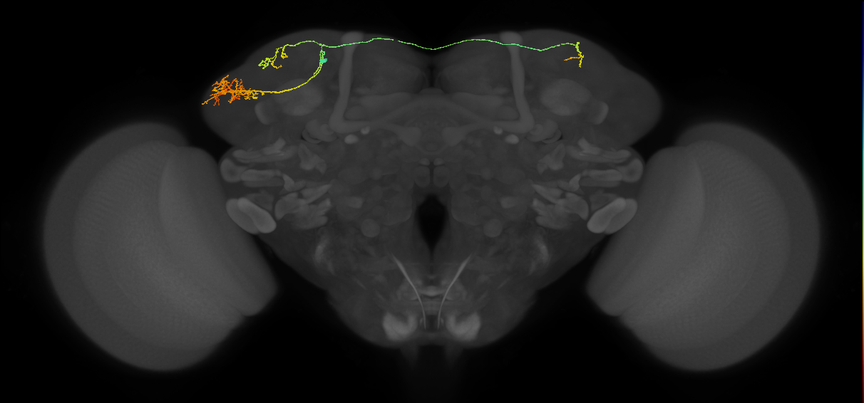 CB2184