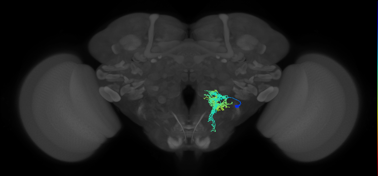 CB2465
