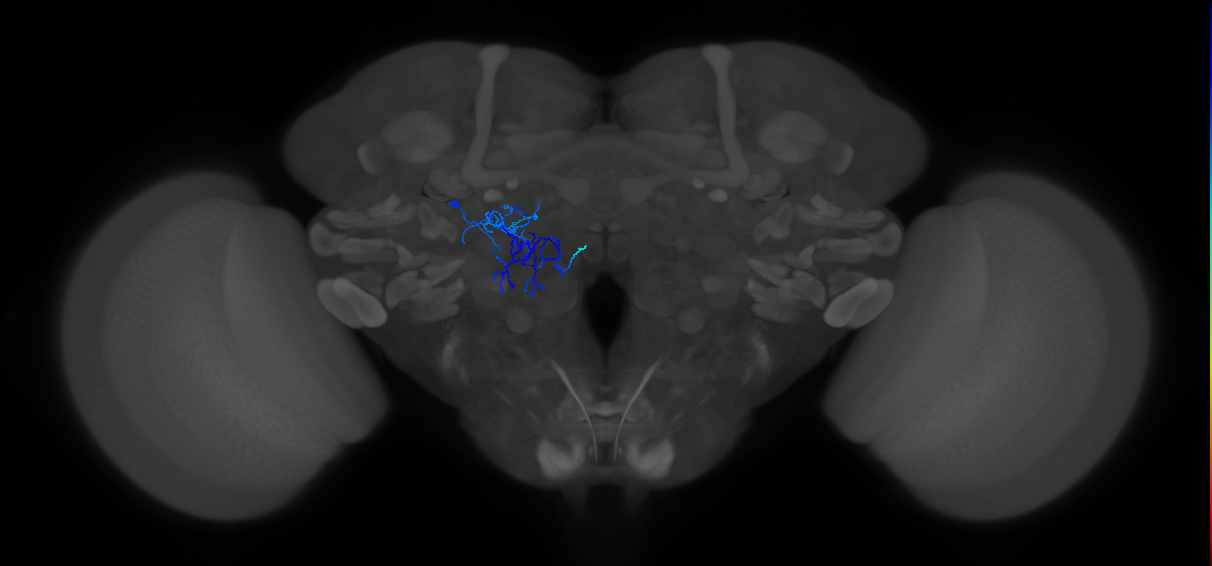 CB2471