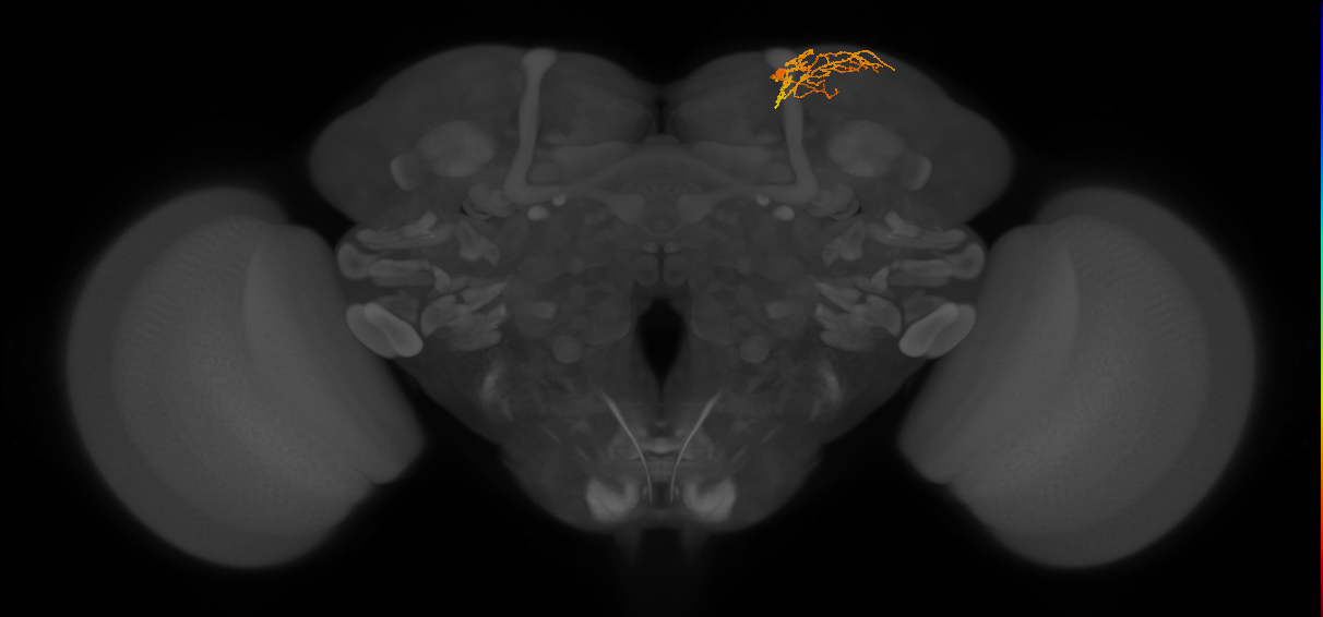 CB2517