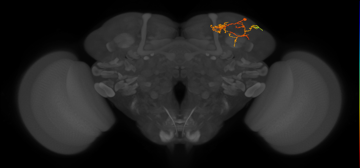 CB2648