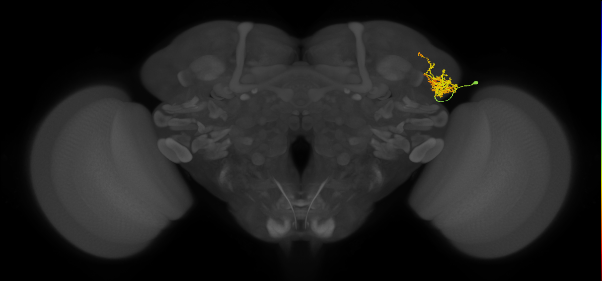 CB2678