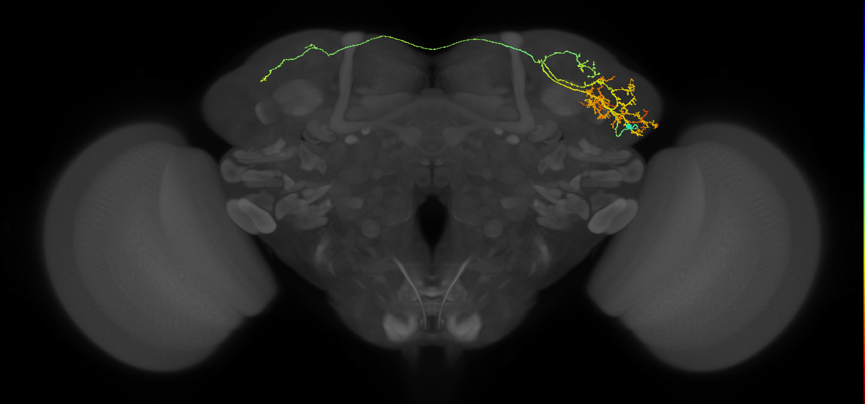 CB2687