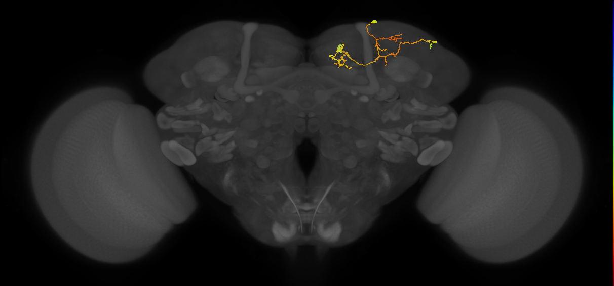 CB2720_R (MaleCNS:93992)
