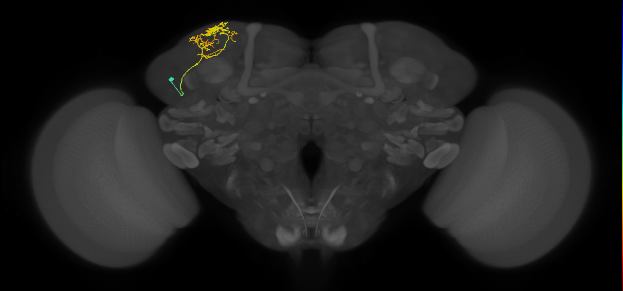CB2955