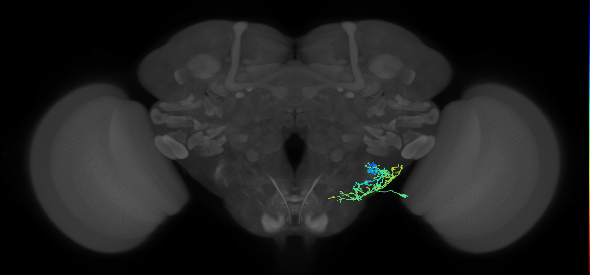 CB1065