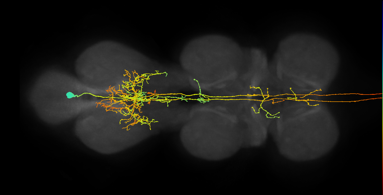AN00A006(16297)_M (MaleCNS:16297)