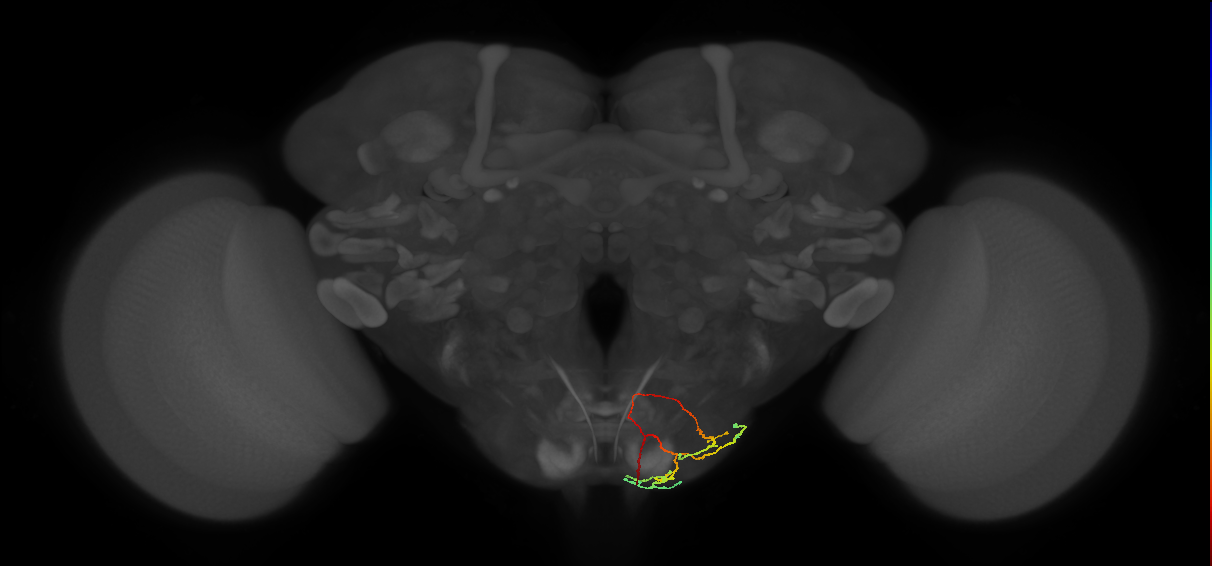 AN01A014