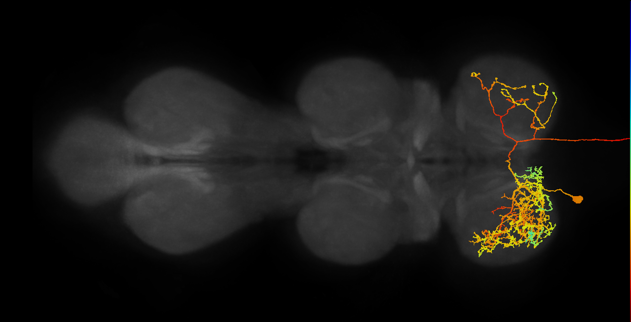 AN01A014