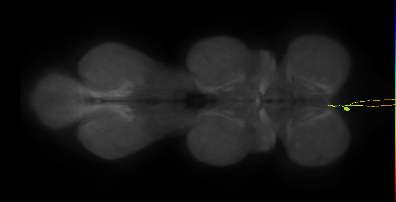 AN01A086
