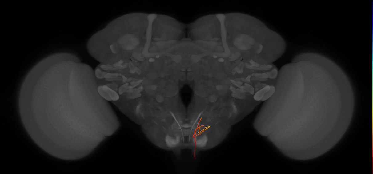 AN08B079_a_L (MaleCNS:128197)