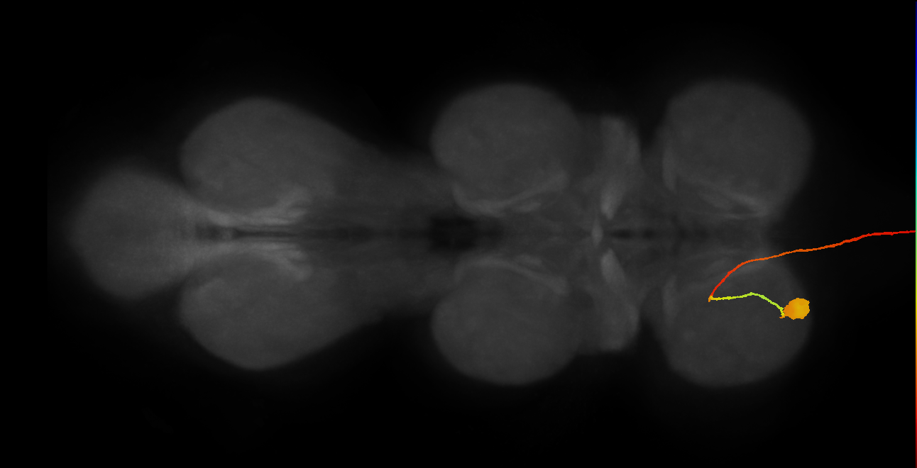 AN09A005