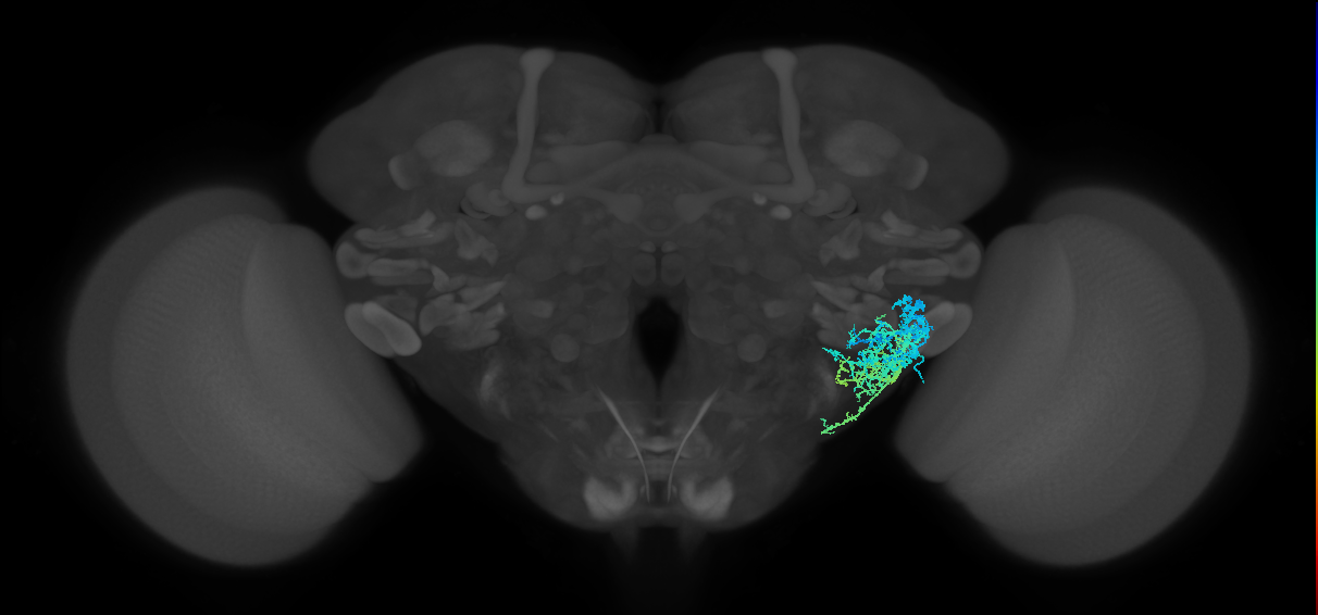 CB2186